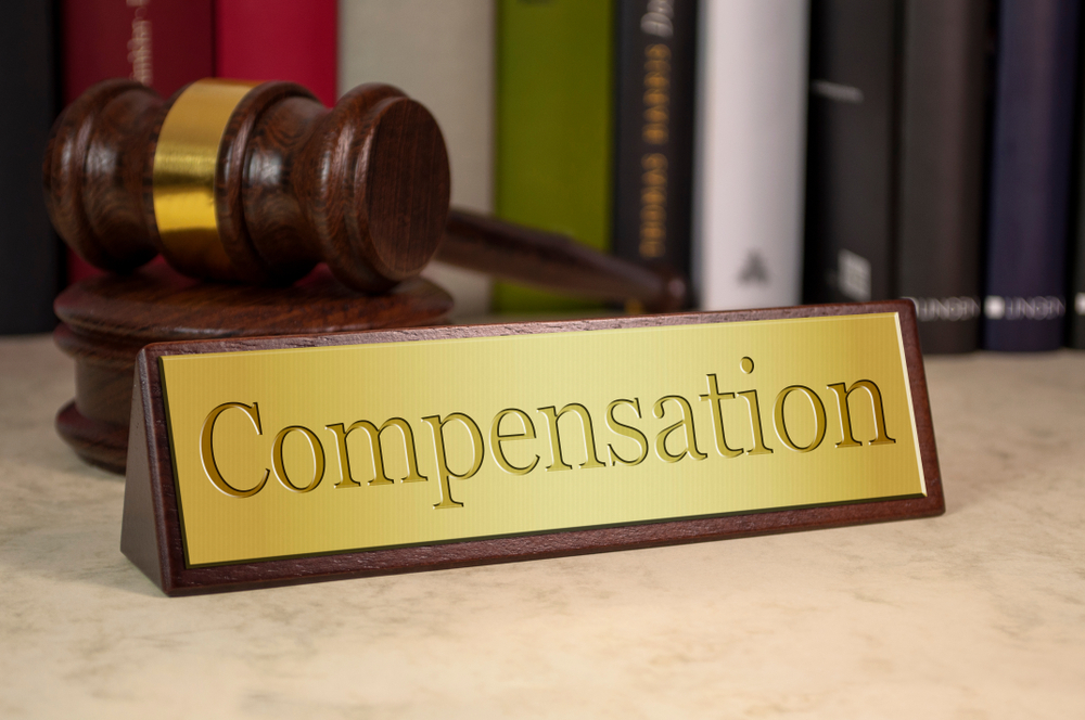 What Is the Procedural Compensation (Rechtsplegingsvergoeding)? | Novex Lawyers